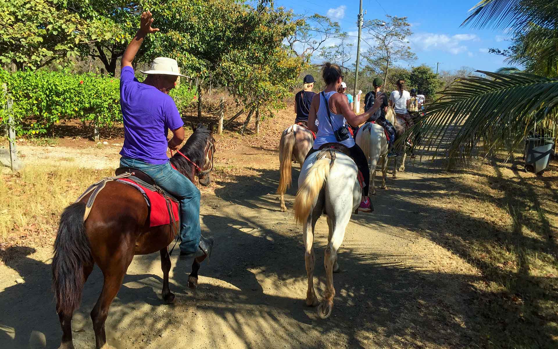 ballade cheval Costa Rica sentier