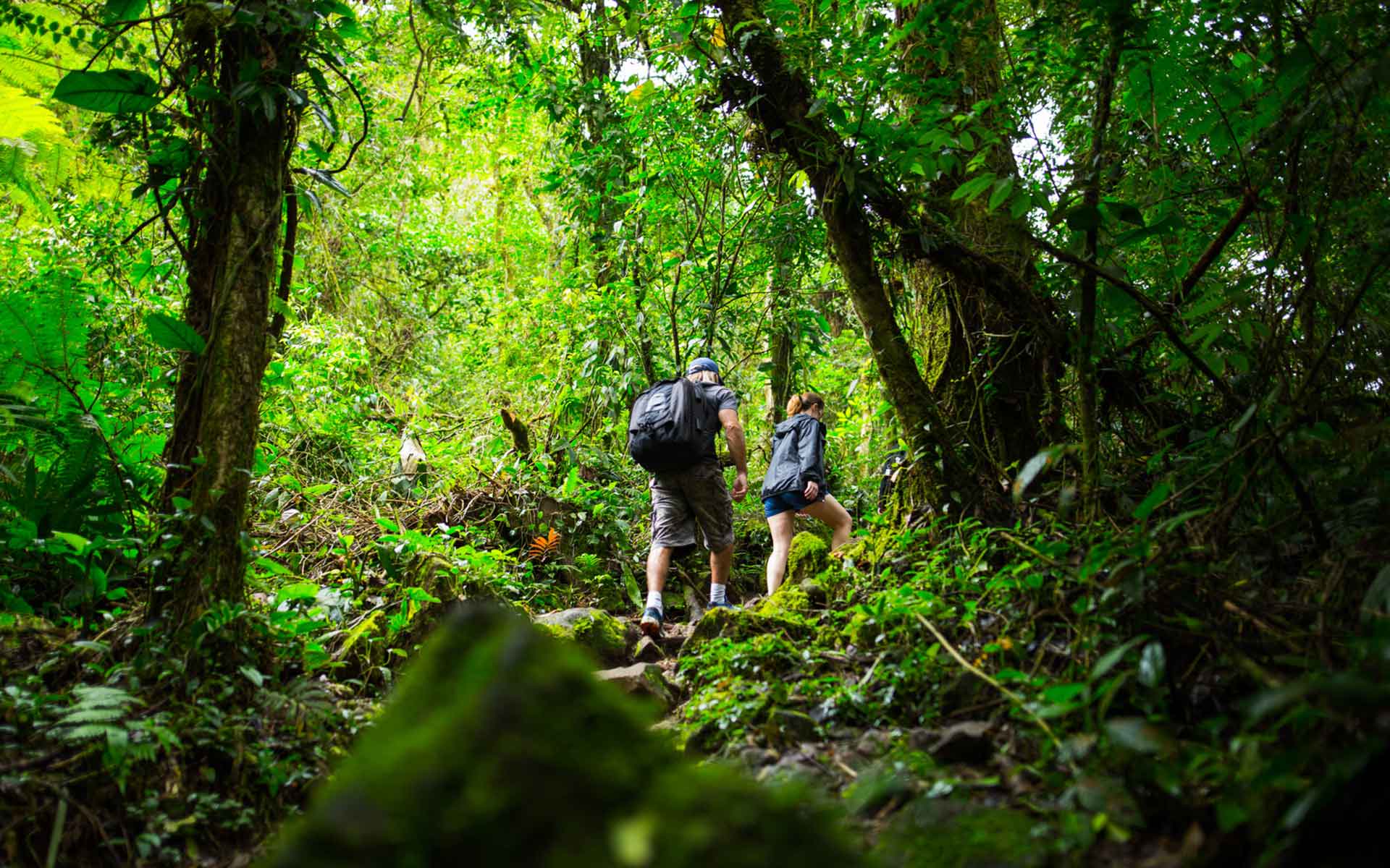 Ballade randonnée Costa Rica forêt