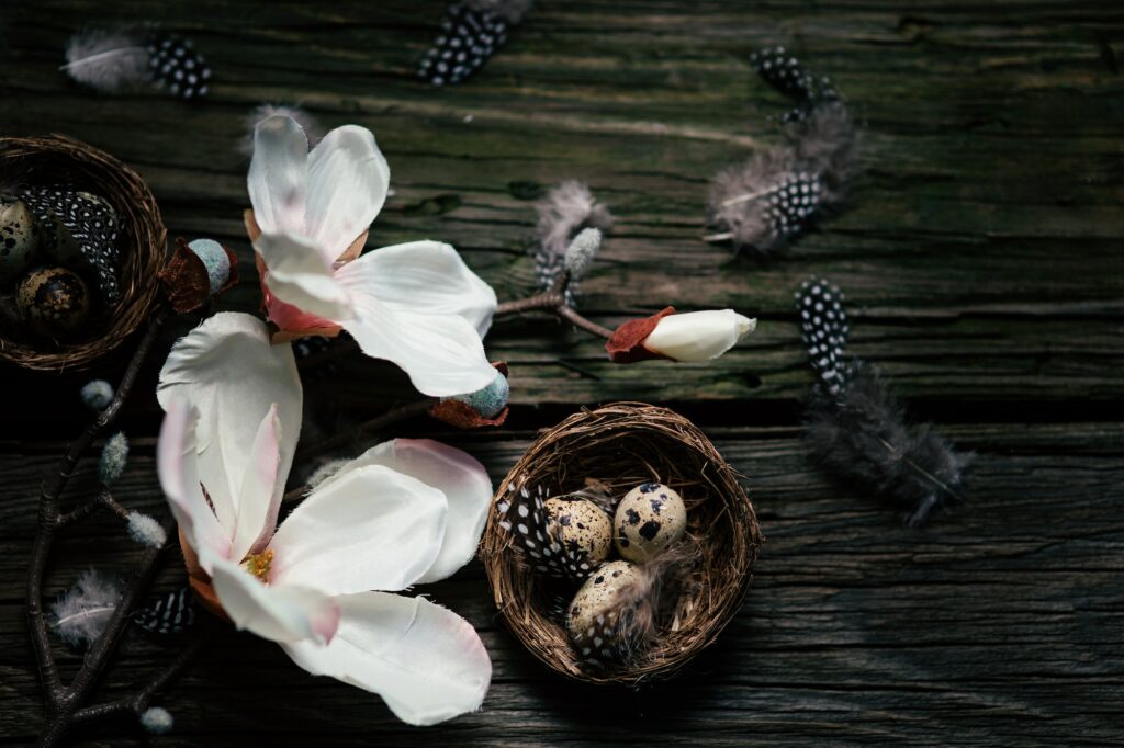 Beautidul Easter decorations of quail eggs and magnolie on wooden background